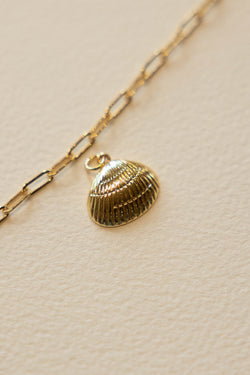 Clam Shell Charm - 14K GF